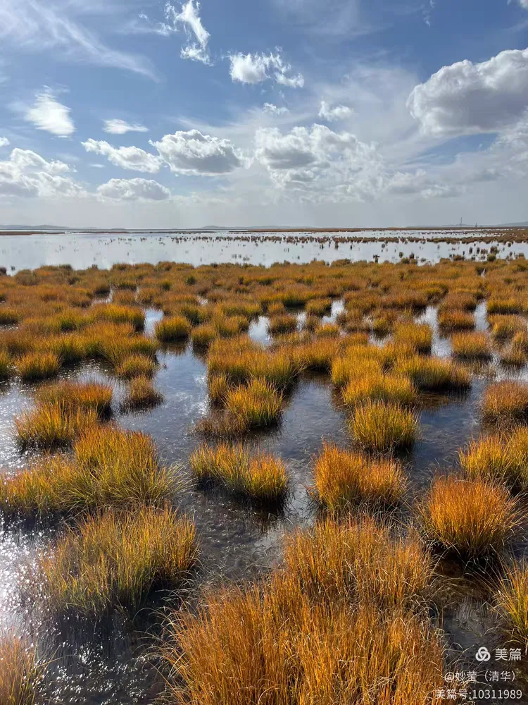 花湖天气在线 花湖天气在线