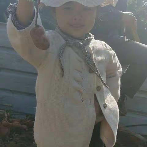 秋天是个丰收的季节（副本）