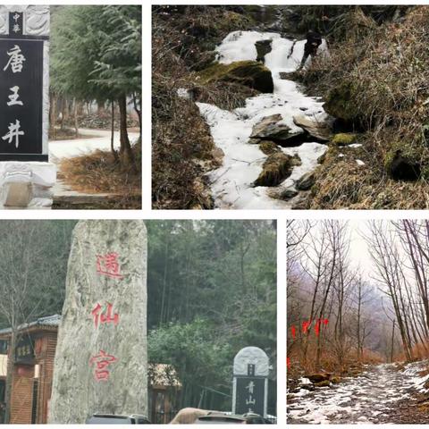 翠峰山下看梅花
