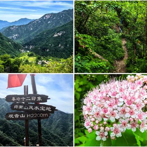 观音之山  无尘境界