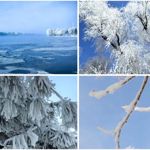 自然奇景：冬日雪国  吉林雾凇