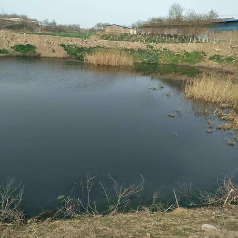 环保临潼分局监测站对石川河沿岸养殖业进行了调查