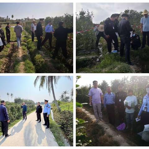 陵水县综合行政执法局开展豇豆质量安全专项执法整治行动