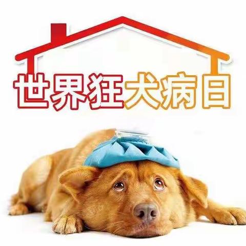 世界狂犬病日：你不知道的10个狂犬病常识