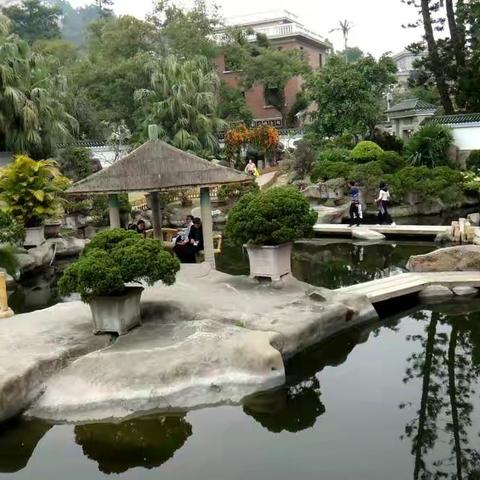 厦门鼓浪屿之旅处处美景迷人！