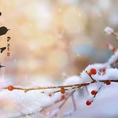 冰雪世界，如诗如画——驻马店市第三十三小学寒假综合实践活动“寒假好习惯，成长不停歇”摄影篇