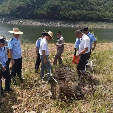 东河林业生态站6月份工作总结