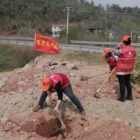 将绿色播种在春天里，广昌公路分中心用实际行动拥抱春天