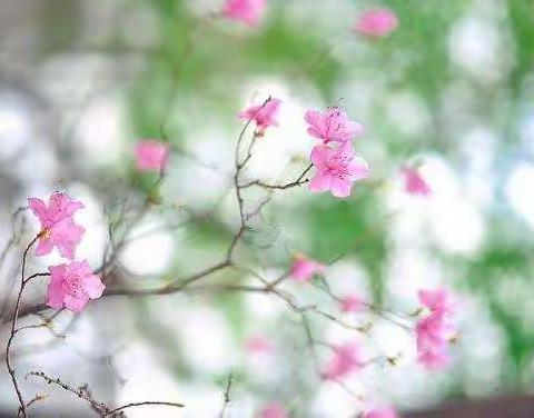 特殊的时光，不一样的陪伴