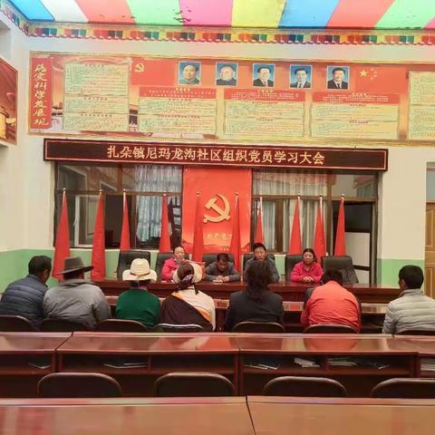 扎朵镇尼玛龙沟社区组织党员学习大会