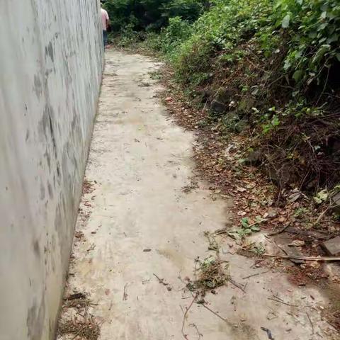 西秀镇博养村积极开展“全民大搜索”公益活动