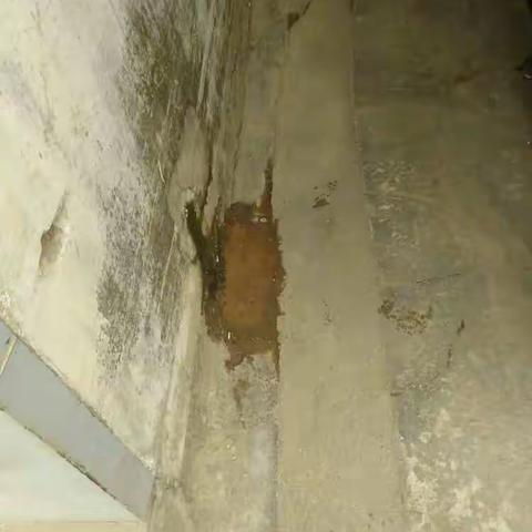 西秀镇4月19日督查整改情况