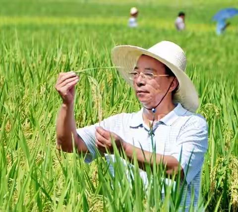 节约粮食 从我做起 ——龙岩师范附属小学二年级3班第三小组“阳光假日小组”主题活动