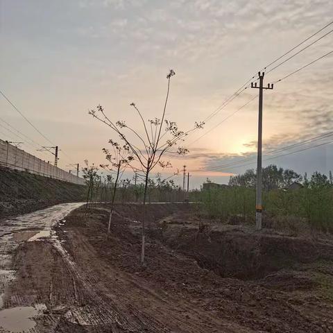 清明节当天半日游有感