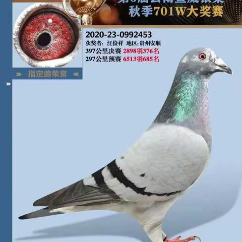 💋饼干&厨房🍝的美篇