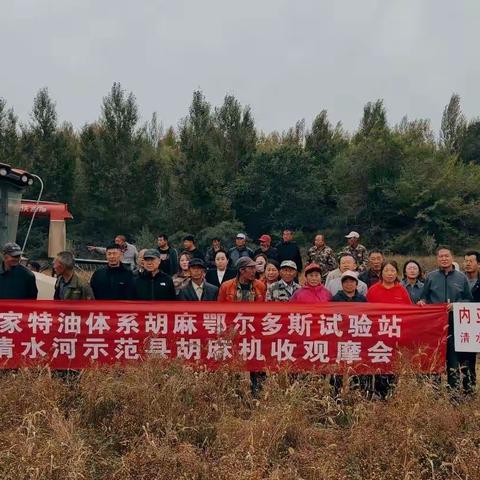 清水河县胡麻机收现场观摩会