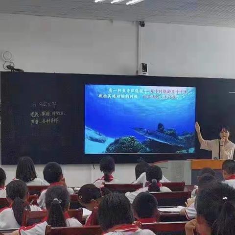 畅游海底世界，感受奇异之美——南雄市第二小学《海底世界》语文公开课