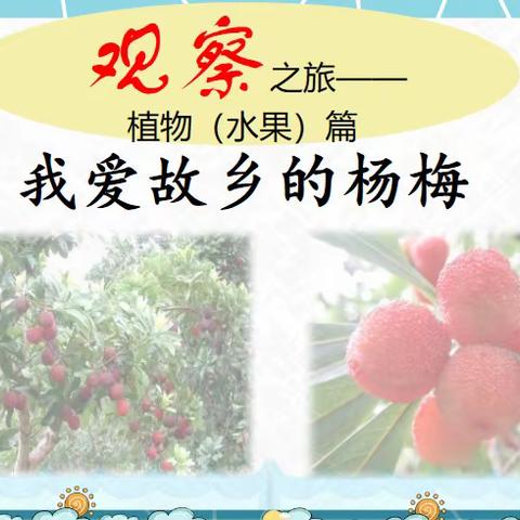 🌵生活处处皆学问 留心观察收获多🍉——记三年级特色作业之观察日记