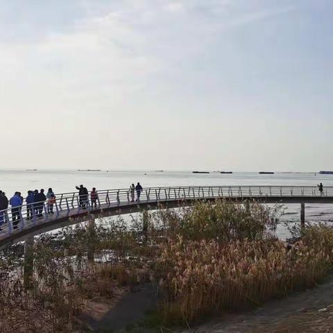 2022/11/05-06  南通二日游     音乐：红山果