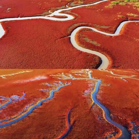 9.22-28号盘锦红海滩  神奇山水，枫叶之都——本溪