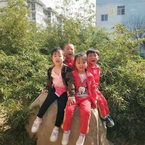 杨桃班开心活泼的小可爱们丰富的户外游戏活动