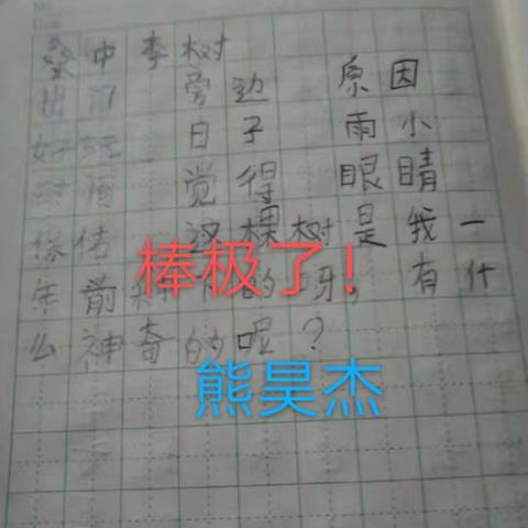 这样的批改作业，你喜欢吗？