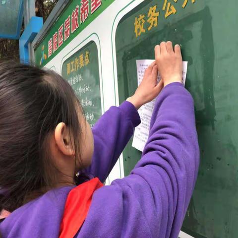 树立科学意识，科学护眼爱眼                一一记荔枝希望小学4.3、4.5实践活动