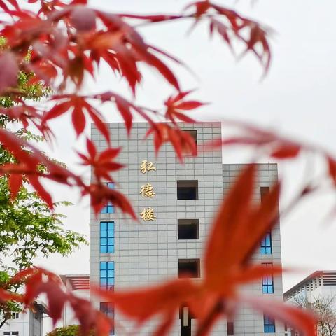 迷人秋日胜春朝 群诗阅读向难行