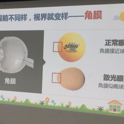 许昌市毓秀路小学三2班雏鹰假日小队