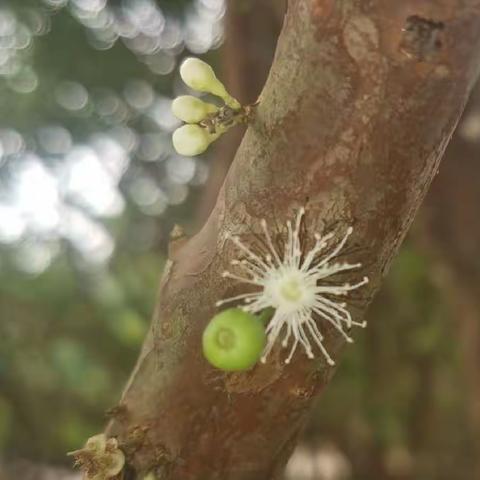 太阳家回顾