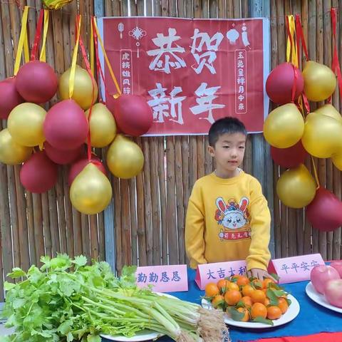 太阳家回顾