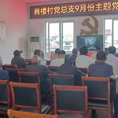 肖楼村9月份主题党日活动