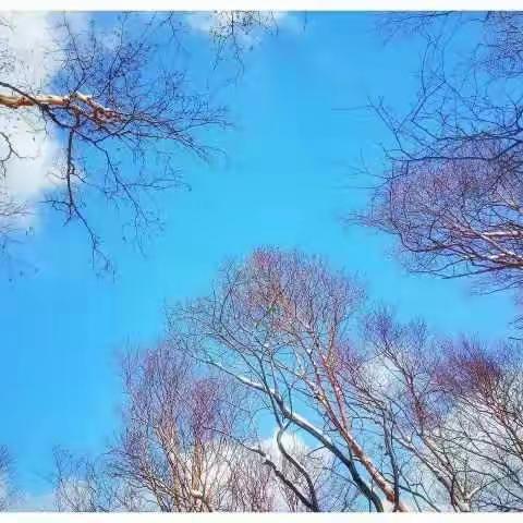 那年的白石山