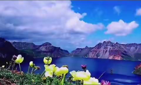 영상음악:고해:정광철/제작:전채순