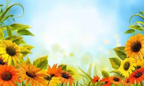 영상음악:꽃바람/김용임