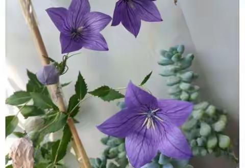 디카시 모음 [3]