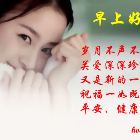 2022年1~5 내가 만든 인사카드