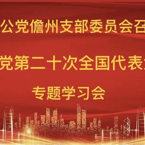 致公党儋州市支部委员会召开中国共产党第二十次全国代表大会精神专题学习会