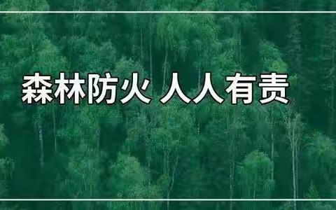 关注森林防火  共护绿色家园——汉中市南郑区城关小学防火宣传教育