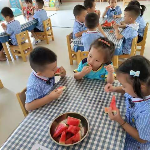 种植启蒙 快乐劳动——康安幼儿园幼小三班西瓜趣萌记