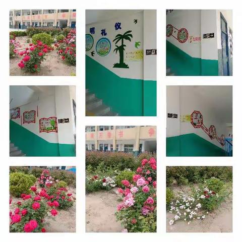 把灾难当教材    与祖国共成长