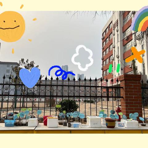 周五的一日活动来啦