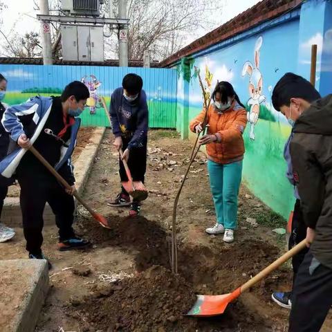 〔宜安镇宜安小学〕爱绿护绿，美化家园——宜安小学开展植树节系列活动