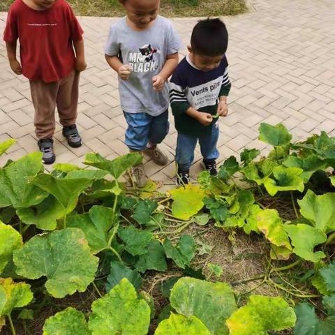 沛县沛城街道汉城国际•              如歌幼儿园小四班