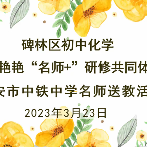 【碑林教育·名师+】立足学考复习，强化方法提升——2023年3月秦艳艳“名师+”研修共同体送教活动