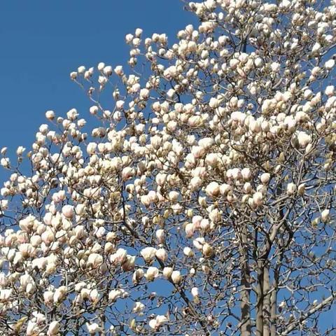 面朝阳光，春暖花开