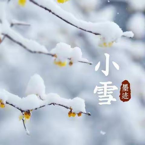 清寒小雪 踏至而来——东武学校附属幼儿园节气课程