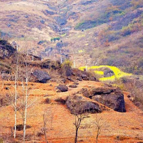 谁的心不曾柔软