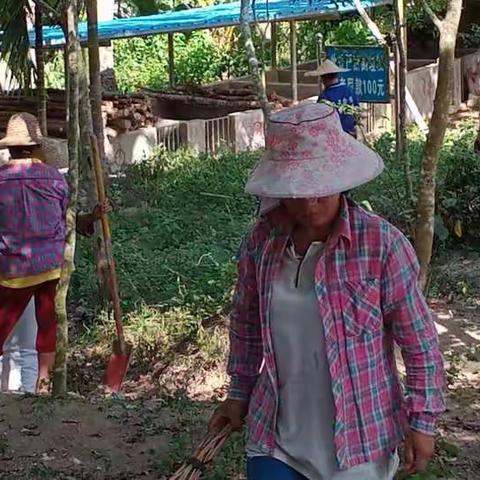 我为加快推进海南自由贸易港建设作贡献