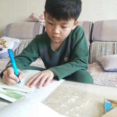 停课不停学 黄河路小学三年二班刘思宇